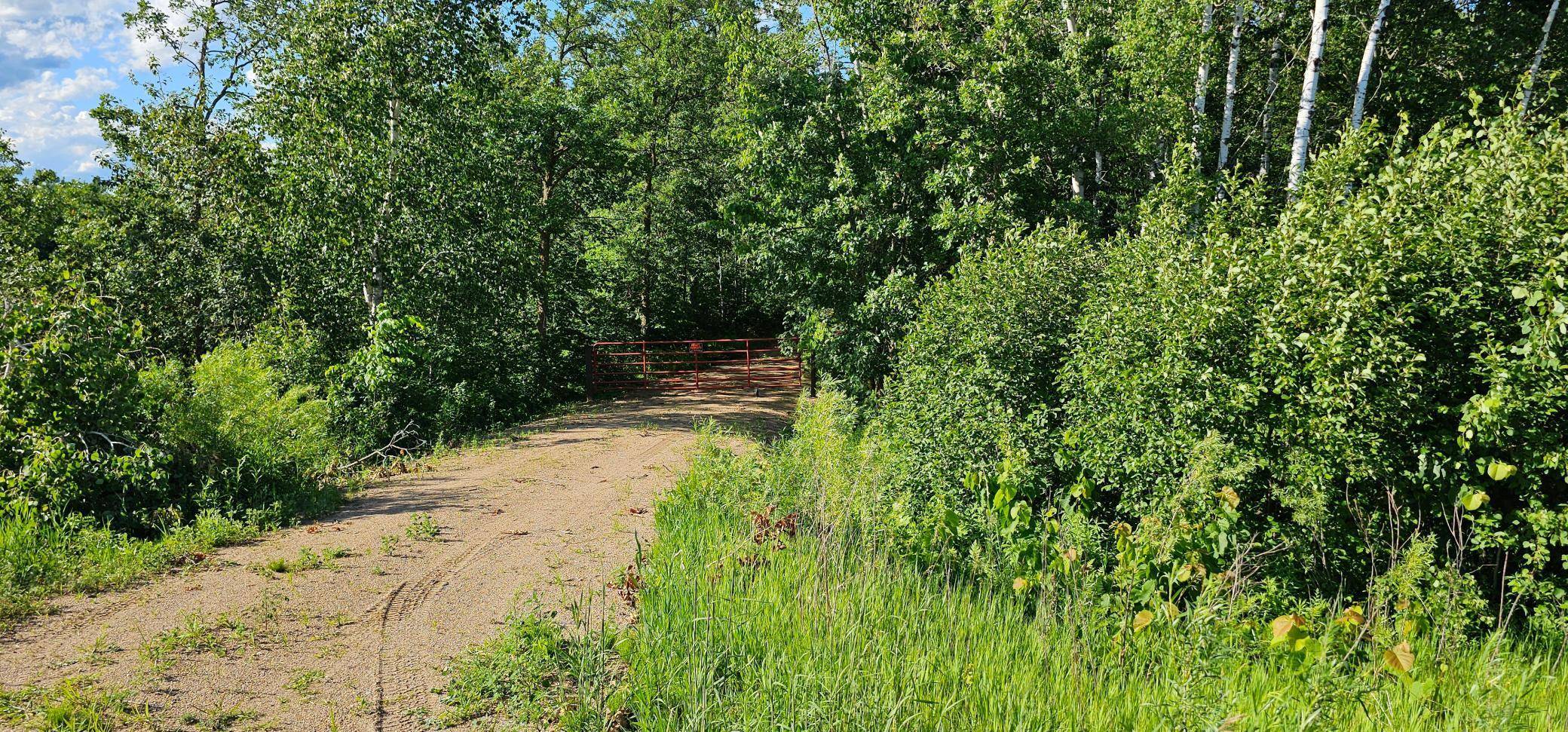 36384 County Highway 46, Savannah Twp, MN 56470