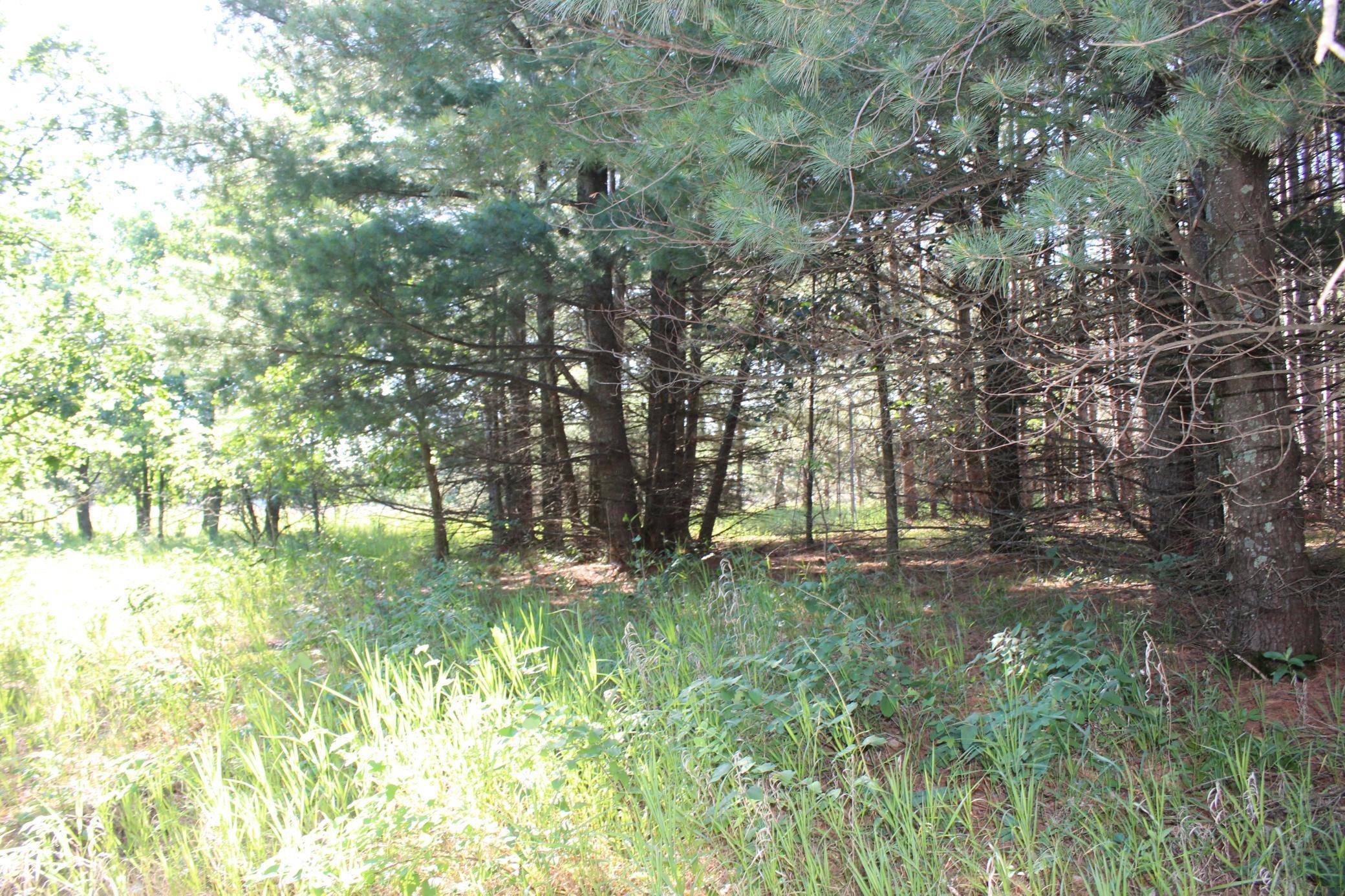 Staples, MN 56479,TBD 128th ST