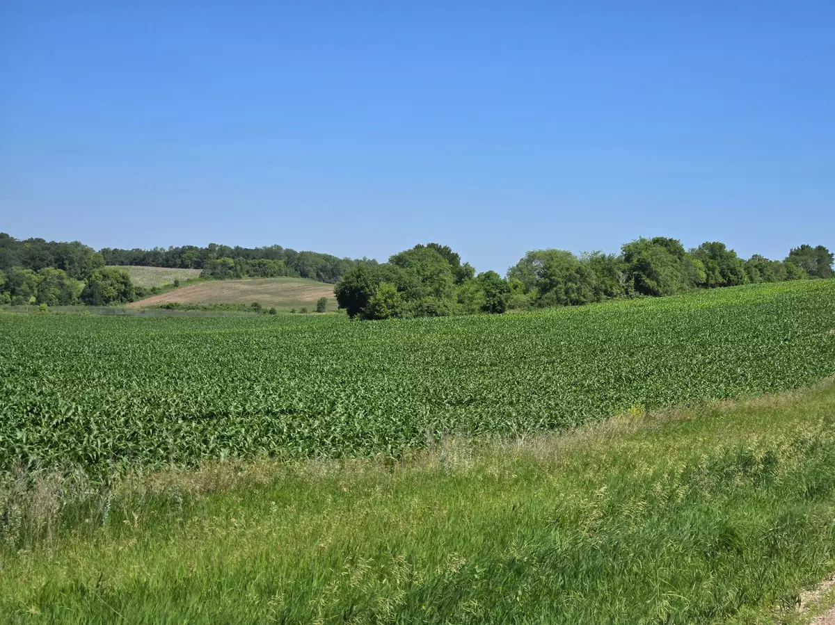 Battle Lake, MN 56515,TBD County Hwy 83
