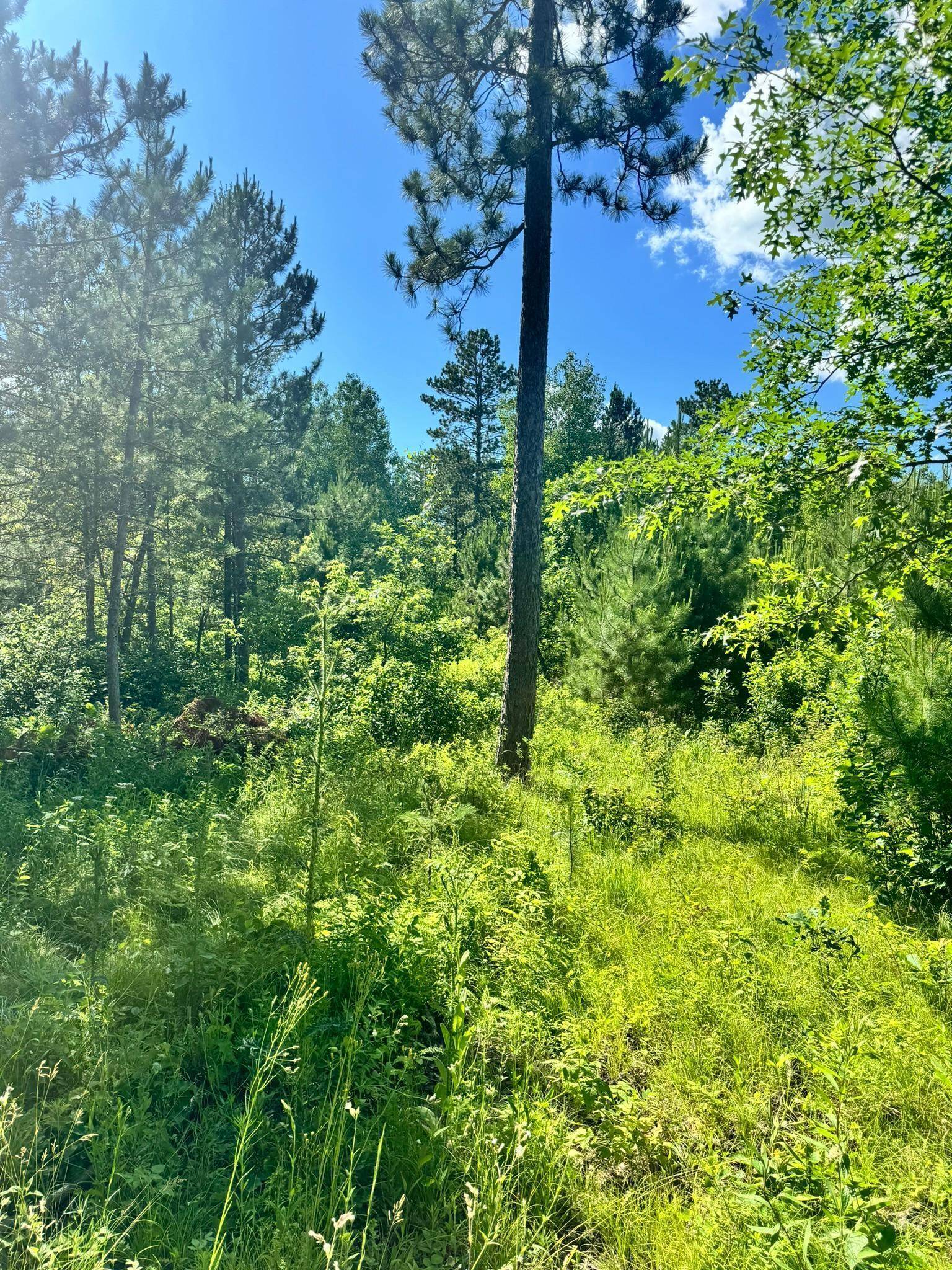 Nevis, MN 56467,TBD Lot 5 Destination DR