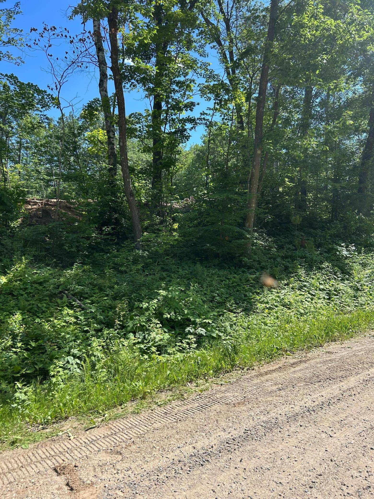 Cushing, MN 56443,TBD Cedar Road
