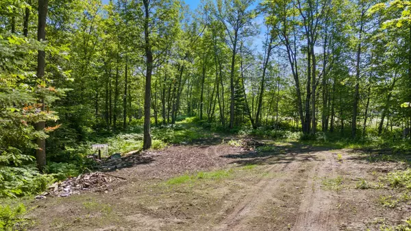 Hill Lake Twp, MN 55748,67246 340th AVE