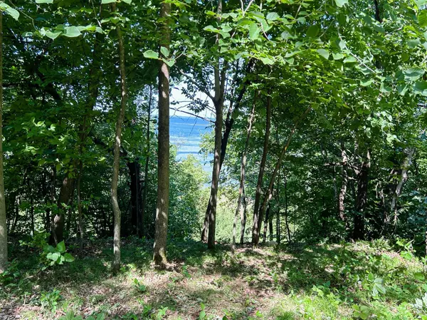 Otto Twp, MN 56567,49137 360th ST