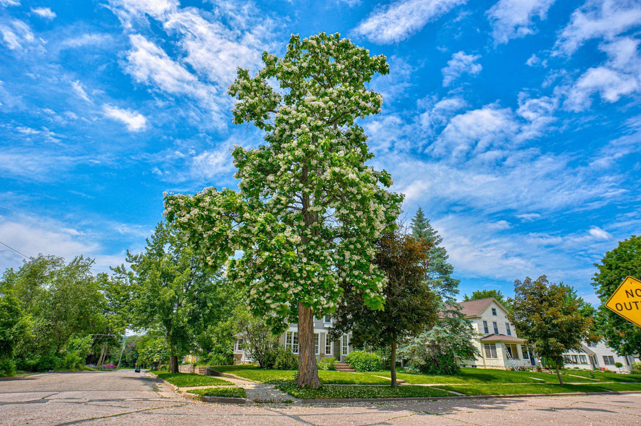 Hudson, WI 54016,1403 3rd ST