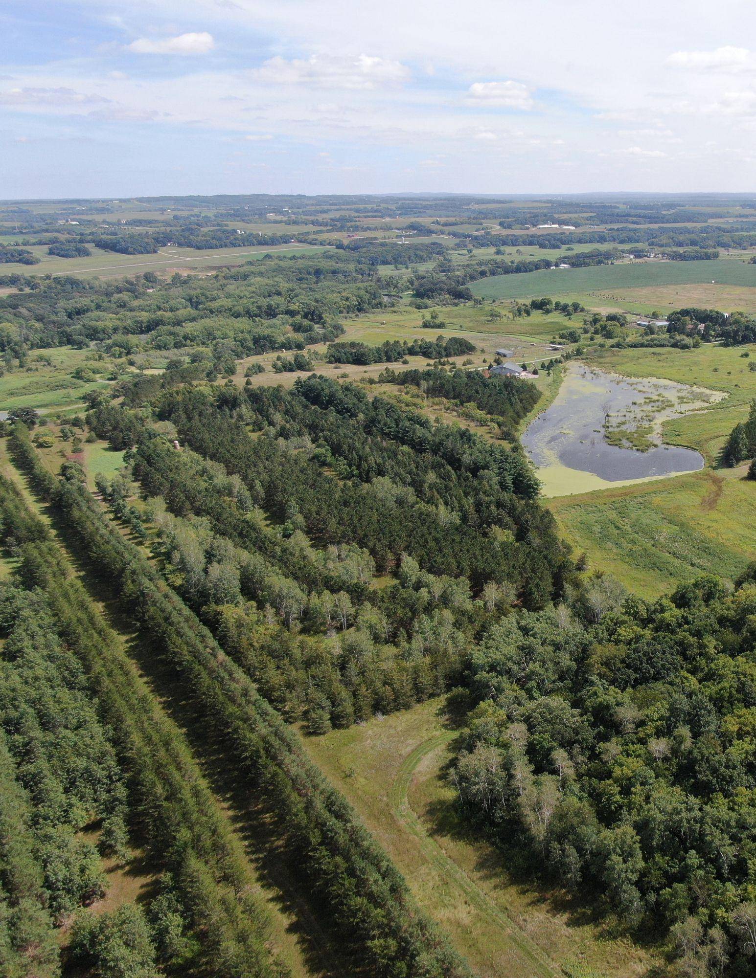 TBD 272nd ST, Saint Martin Twp, MN 56362