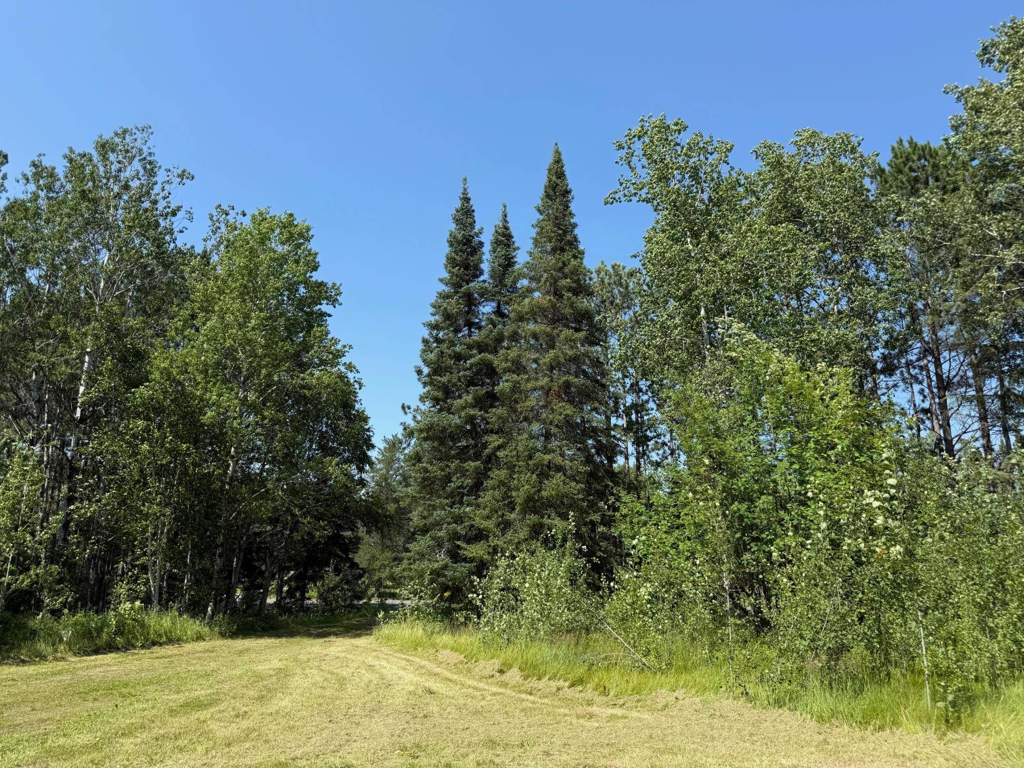 36719 State Highway 65, Nashwauk Twp, MN 55769