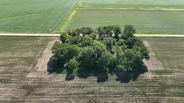 Viola Twp, MN 55934,TBD 122nd AVE NE