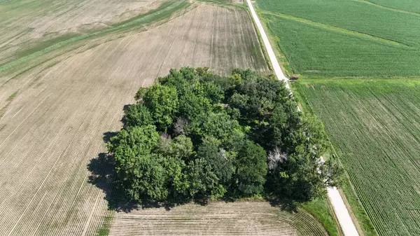 Viola Twp, MN 55934,TBD 122nd AVE NE