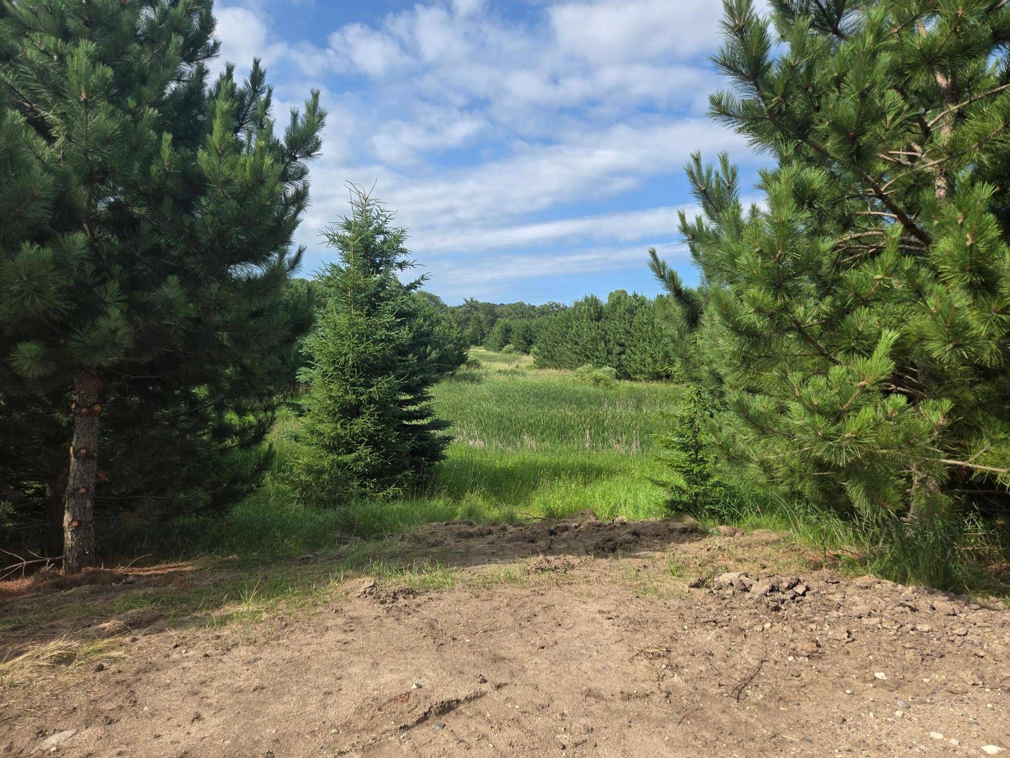 Detroit Lakes, MN 56501,20332 County Highway 25