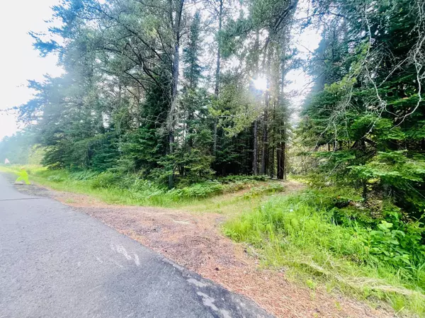 Hibbing, MN 55746,3567 S Dublin RD