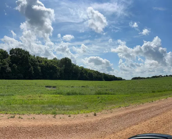 Dahlgren Twp, MN 55318,XX TBD Mellgren LN