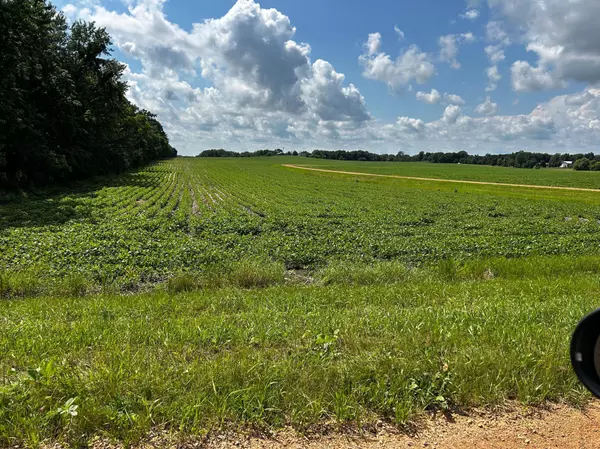 Dahlgren Twp, MN 55318,XX TBD Mellgren LN