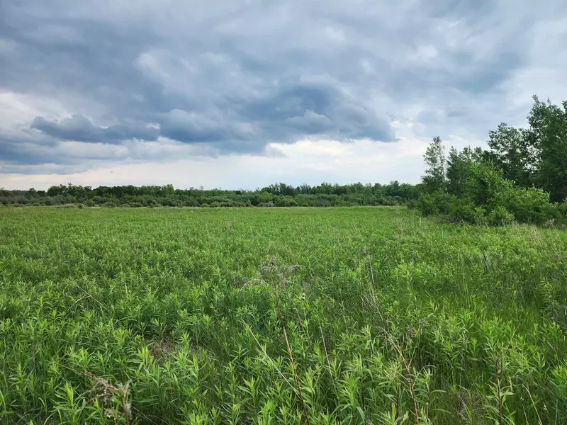 TBD Rice Road, Mission Creek Twp, MN 55037