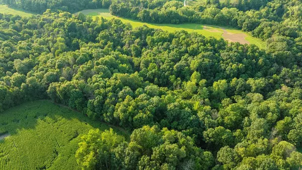 Menomonie, WI 54751,0 420th Avenue