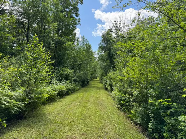 51440 Sand Creek RD, Bruno, MN 55712