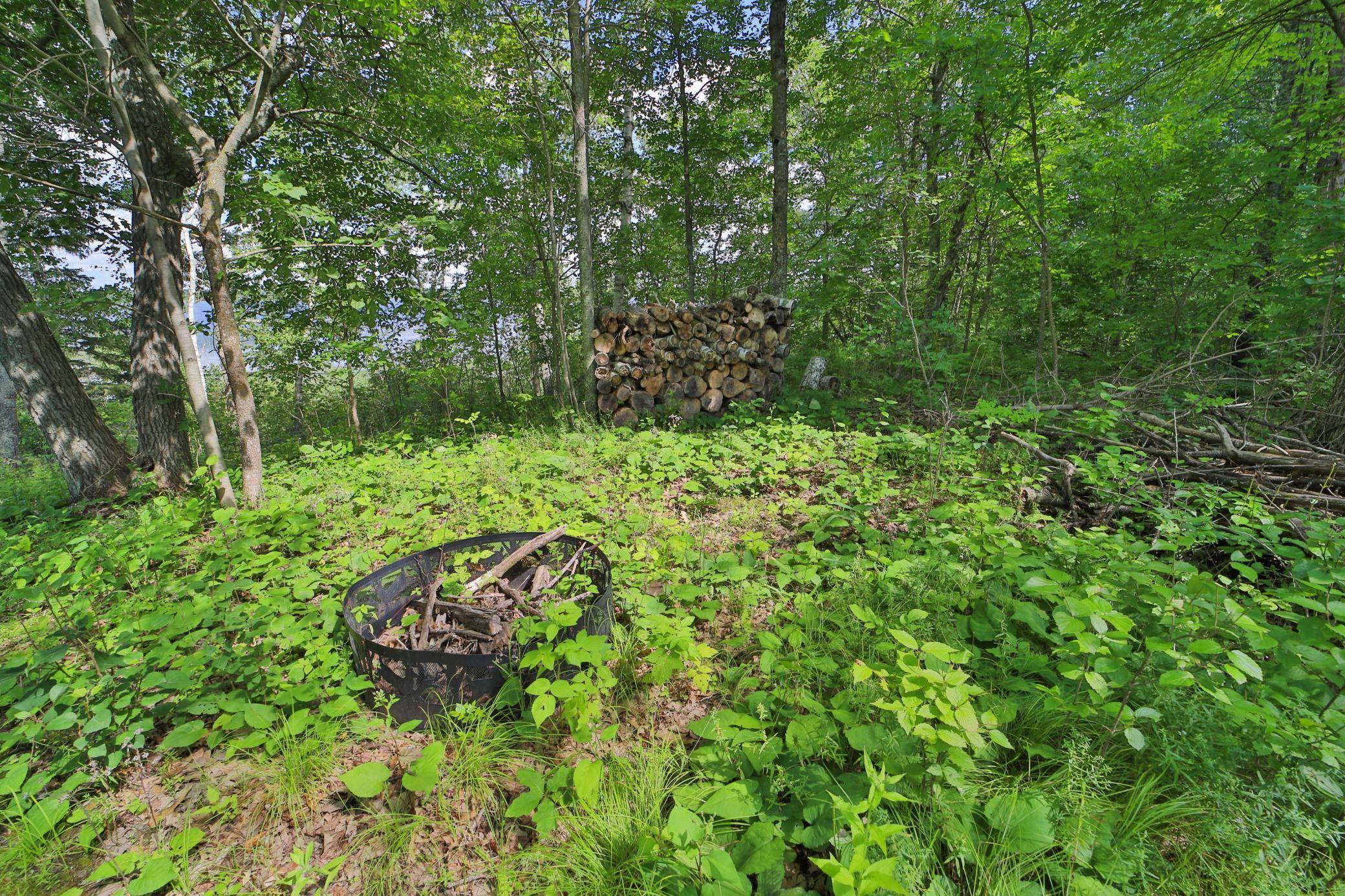 Backus, MN 56435,TBD Pine Mountain Lake Road NW