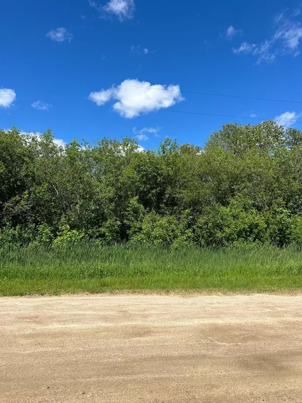 Williams, MN 56686,XXX Graceton Beach RD NW