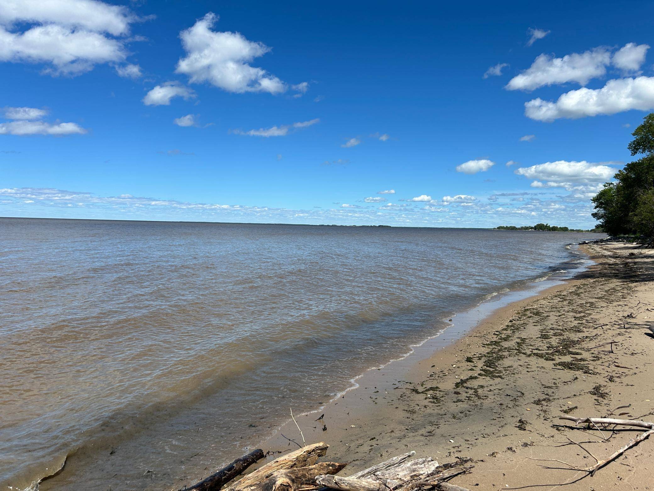 Williams, MN 56686,XXX Graceton Beach RD NW