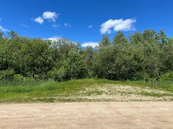 Williams, MN 56686,TBD Graceton Beach RD NW