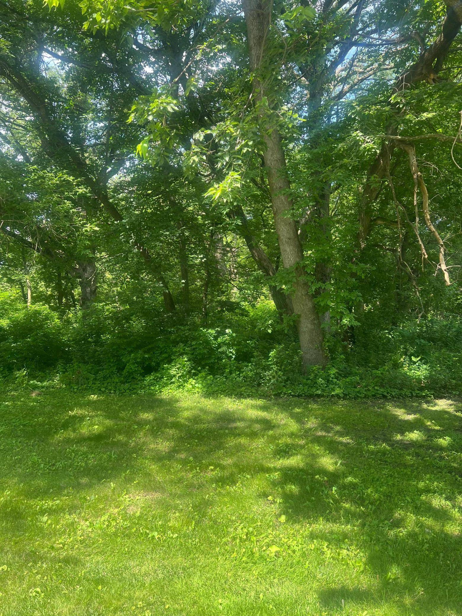 TBD Lot 1 Envelope 1 Baycrest RD, Glenwood, MN 56334