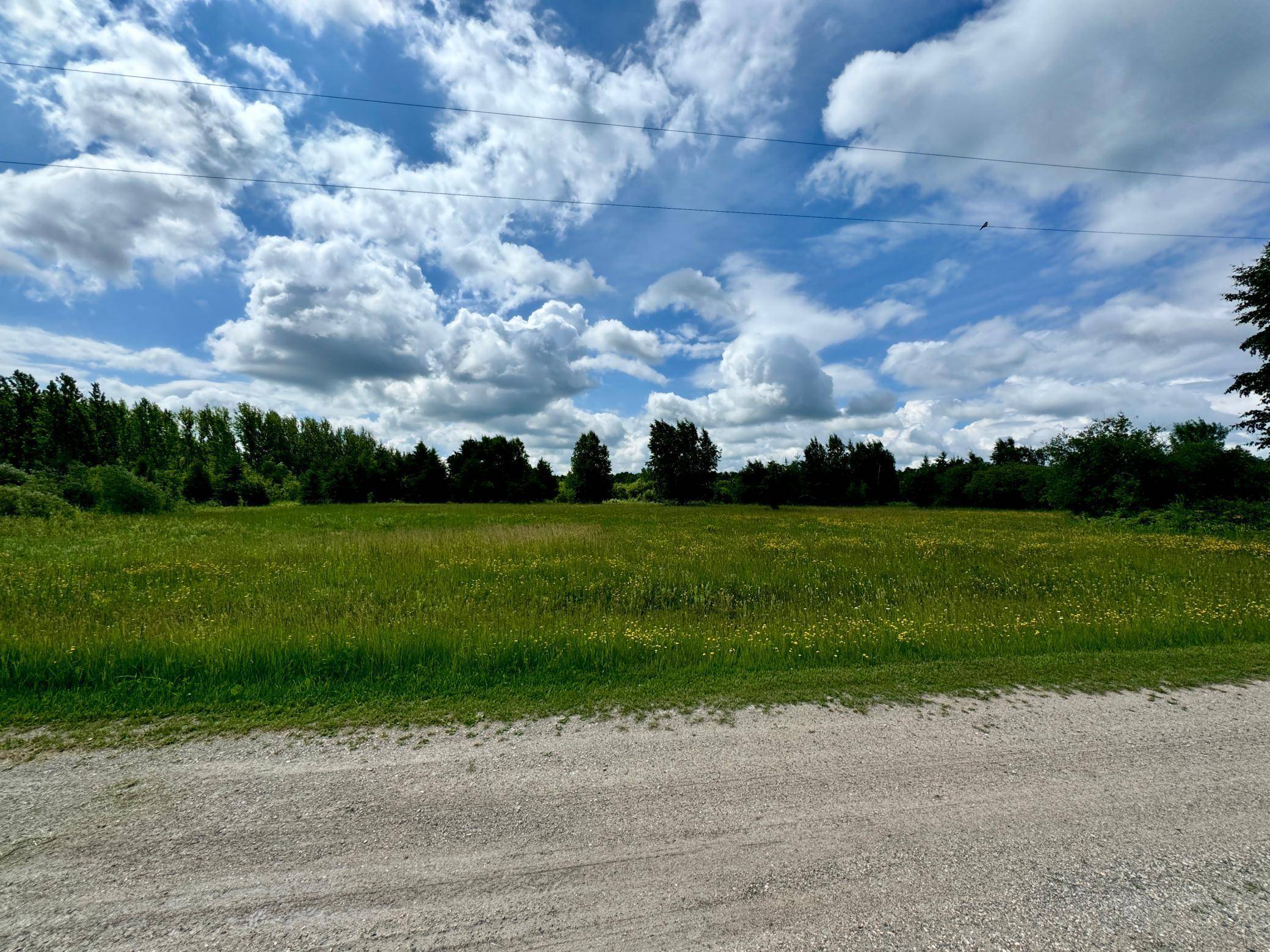 Warroad, MN 56763,TBD 580th AVE