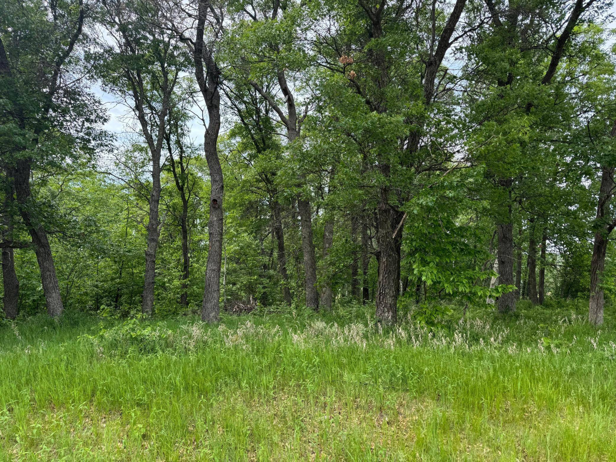 Breezy Point, MN 56472,TBD Pawnee