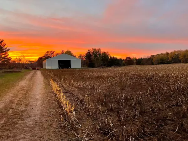 Webster, WI 54893,25717 Dongola RD