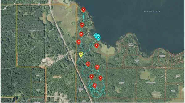 Longville, MN 56655,6920 County Road 8 NE