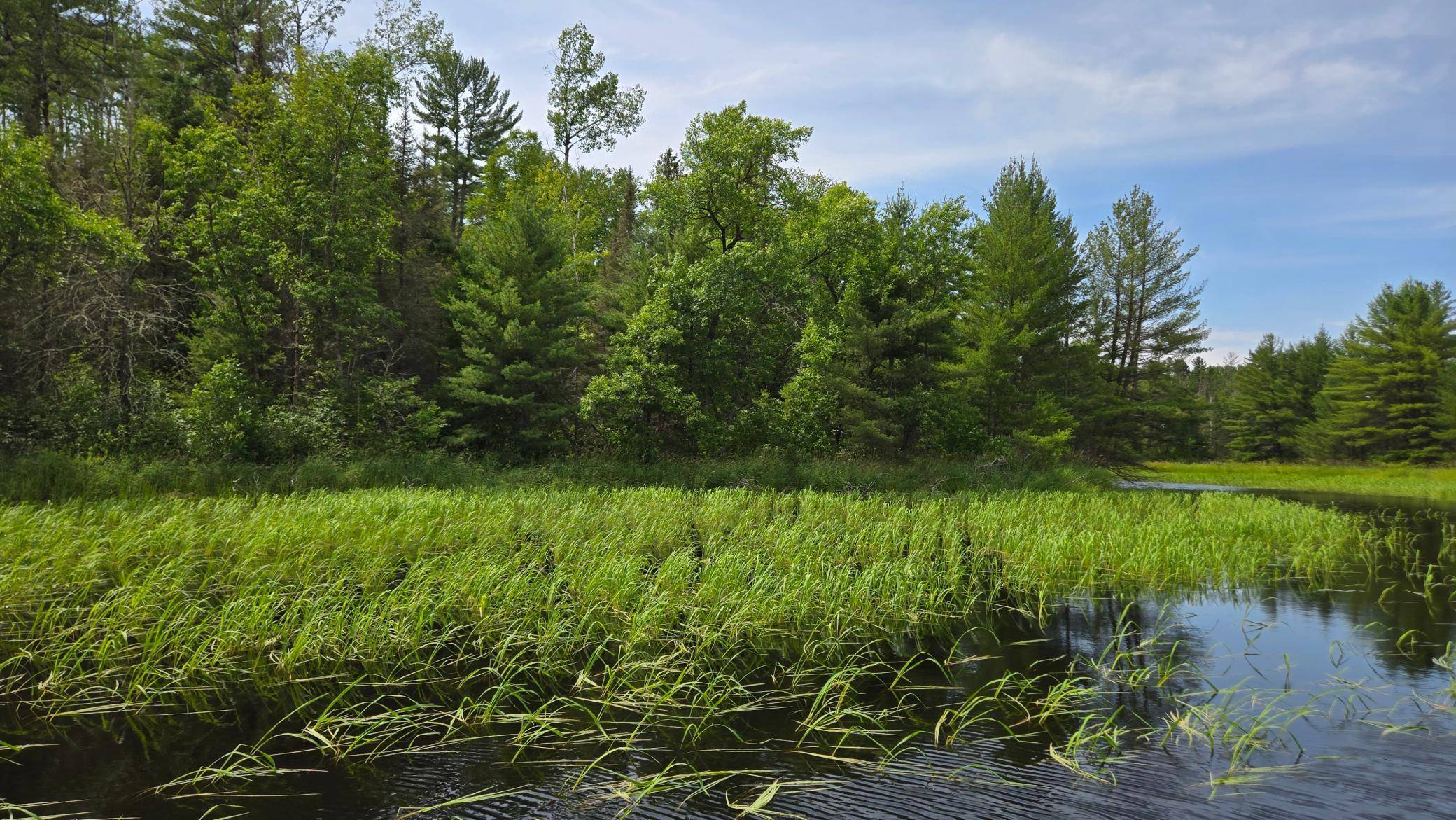 TBD 40 N Rollick CRK, Crane Lake, MN 55725