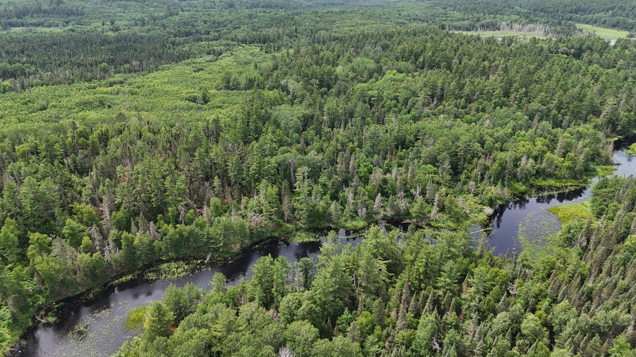 Crane Lake, MN 55725,TBD 40 N Rollick CRK