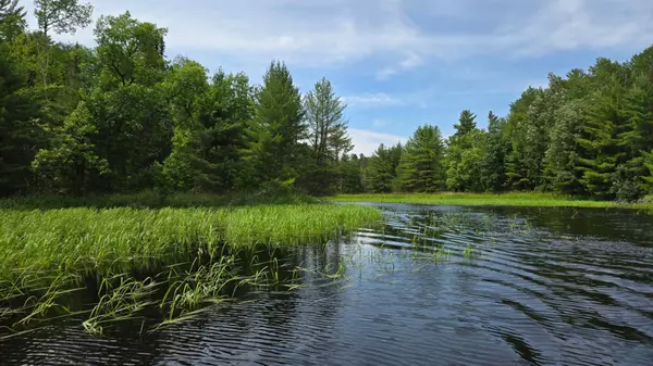 Crane Lake, MN 55725,TBD 40 N Rollick CRK