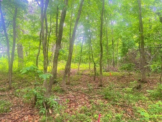 25410 98th ST NW, Zimmerman, MN 55398