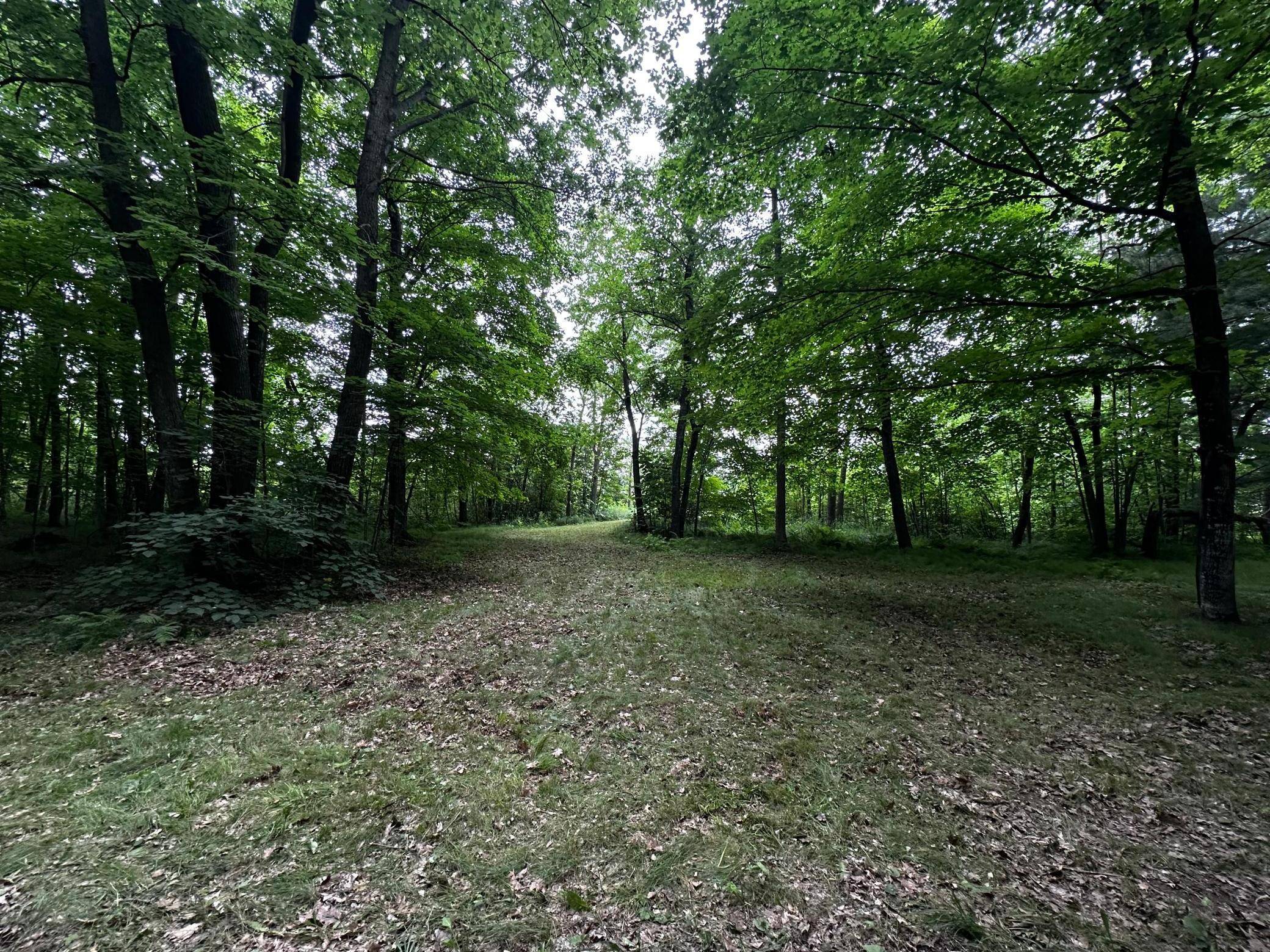 Brainerd, MN 56401,TBD Nokay Lake Lane