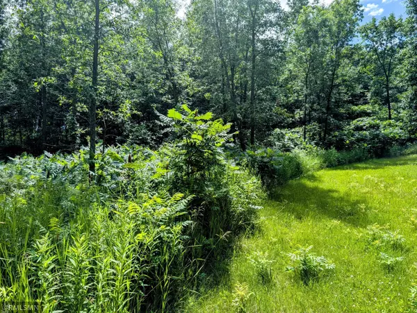 Long Prairie, MN 56347,XXX 3rd AVE SW