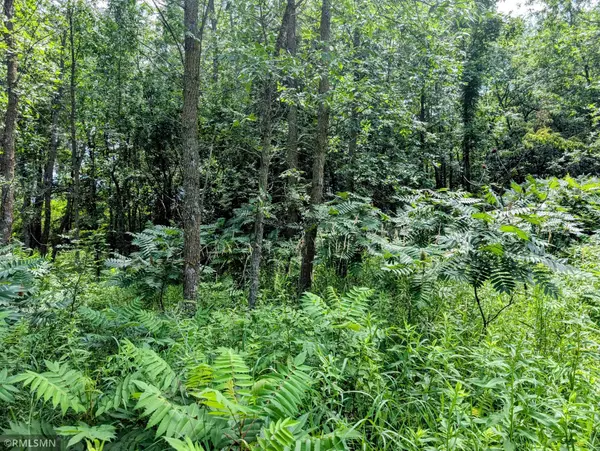 Long Prairie, MN 56347,XXX 3rd AVE SW