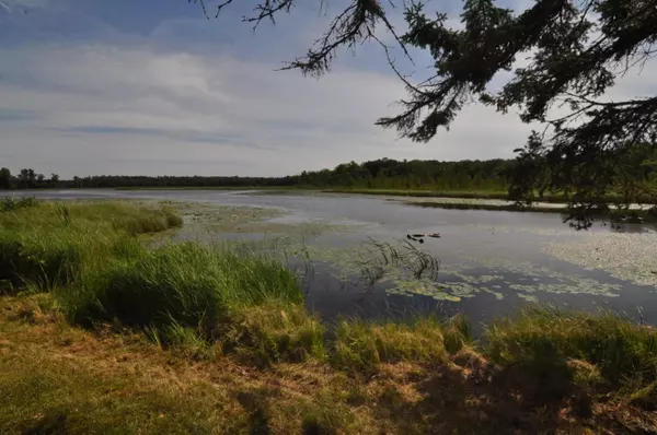 Hackensack, MN 56452,4610 Boone Point RD NW