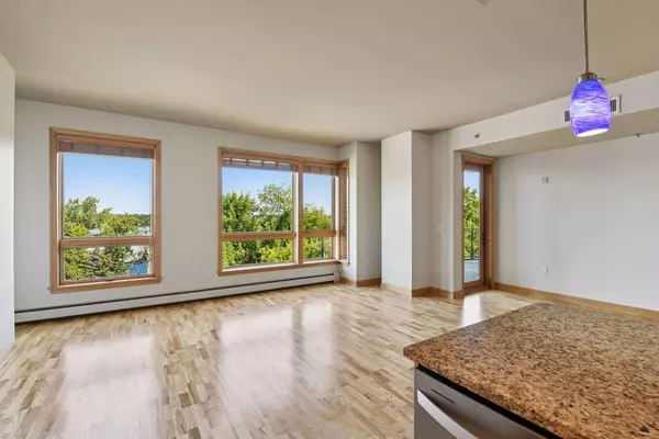 Spring Park, MN 55384,4201 Sunset DR #N407