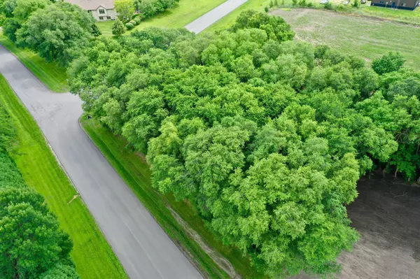 New London Twp, MN 56273,TBD 161st AVE NE