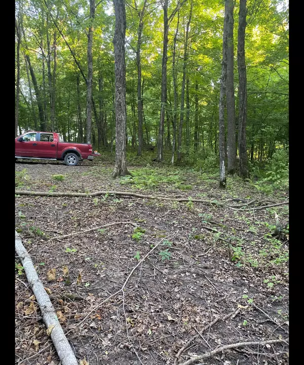 Mazeppa Twp, MN 55956,TBD TBD