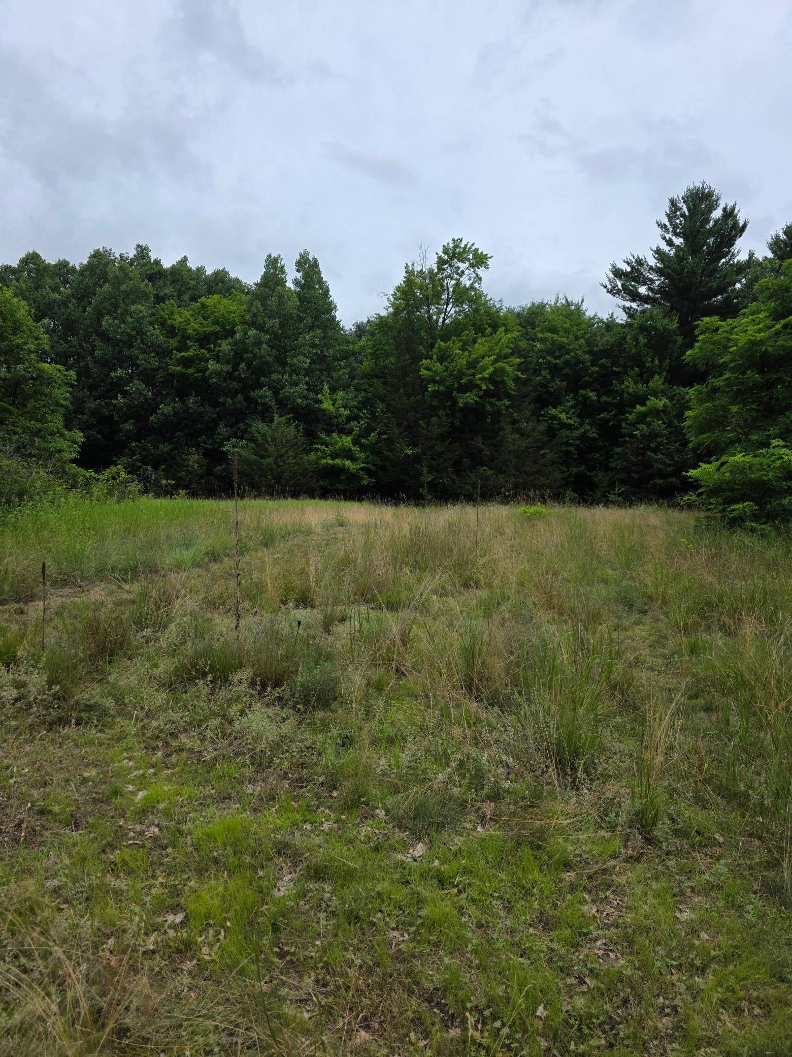 Taylors Falls, MN 55074,TBD Folsom ST