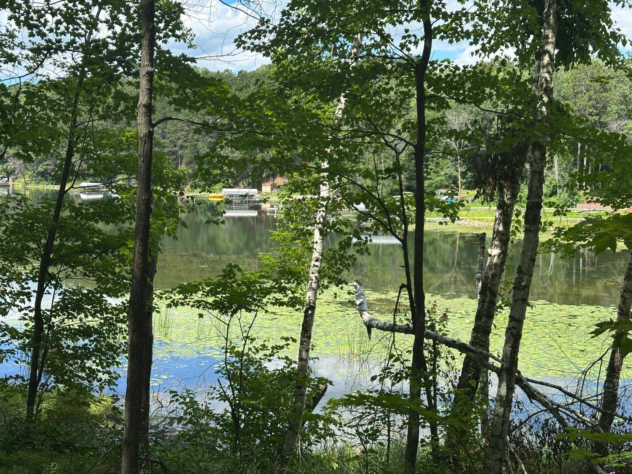 Motley, MN 56466,TBD White Pine LN