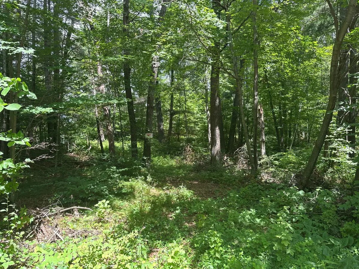 Motley, MN 56466,33073 Aspen LN