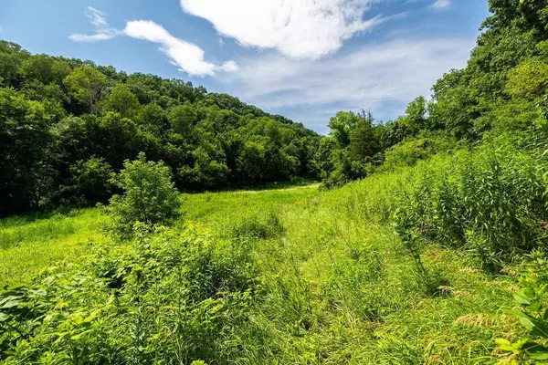 Cross Twp, WI 54629,W598 Joos Valley RD