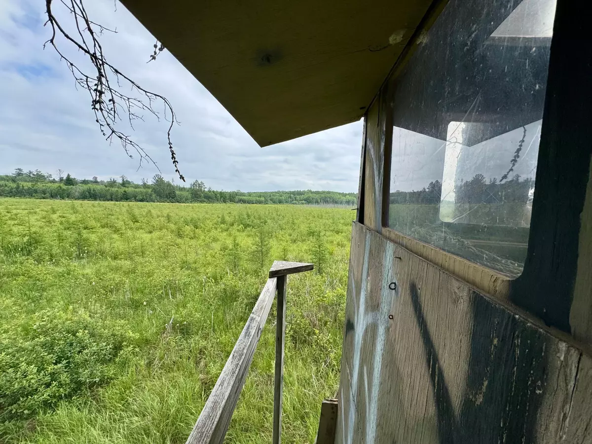 Bull Moose Twp, MN 56474,TBD 20th St. SW 20 St. SW