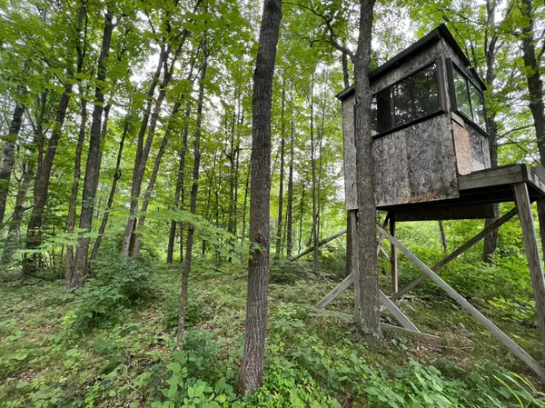 Wilma Twp, MN 55072,000 Mayfield Rd