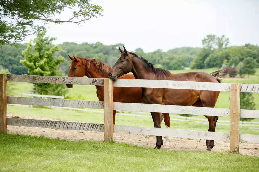 9685 County Road 13 SE, Franklin Twp, MN 55328