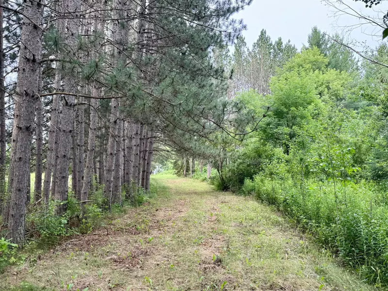 XYZ Plank RD, Sturgeon Lake, MN 55783