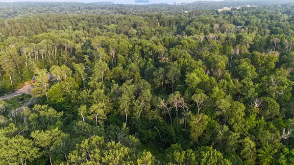 Breezy Point, MN 56472,TBD Raccoon LN