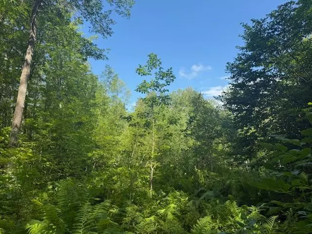 Finlayson, MN 55735,18xxx 160th Street