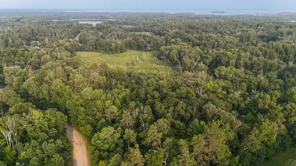 Breezy Point, MN 56472,TBD Flower TRL